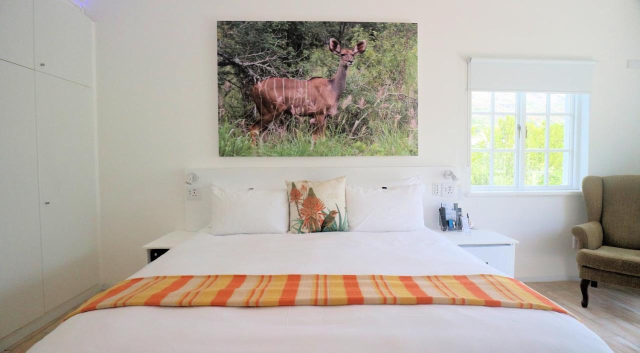 Thelab Cape Town Hotel Hout Bay Exterior foto