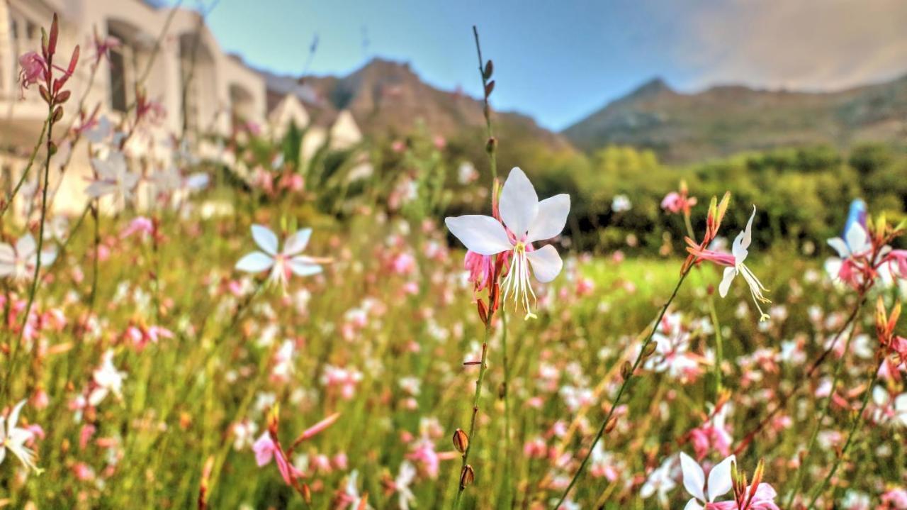 Thelab Cape Town Hotel Hout Bay Exterior foto